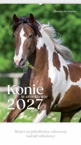 KONIE W OBIEKTYWIE
