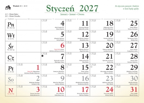 LEŚNI PRZYJACIELE