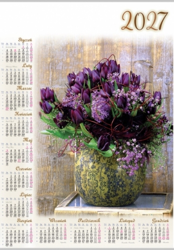 TULIPANY